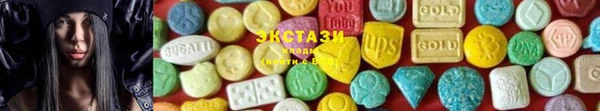 тгк Магас