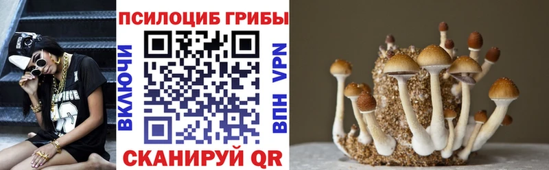 Псилоцибиновые грибы мухоморы  omg зеркало  Новоузенск 